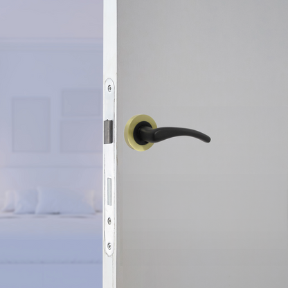 Zena Door Handle Modern Matt Black Lever on Satin Brass Rose Internal + Latch & Hinges