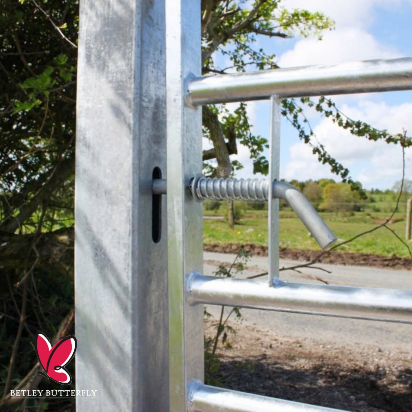 Marketplace JPG companion for Field Gate Fixing Kit for Metal Gates 19mm Adjustable Gate Eyes with 300mm Bolt