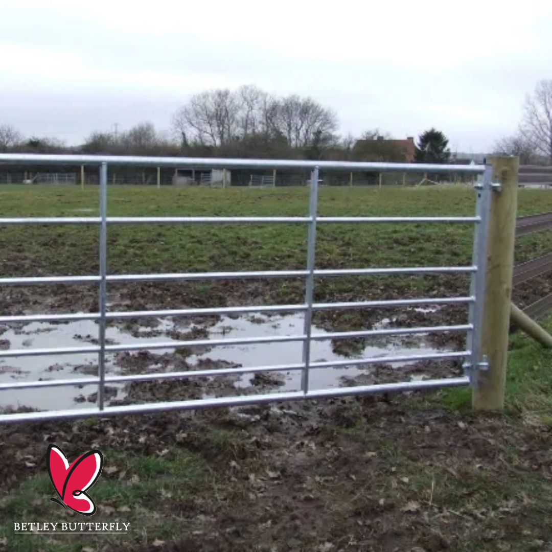 Field Gate Fixing Kit for Metal Gates 19mm Adjustable Gate Eyes with 300mm Bolt