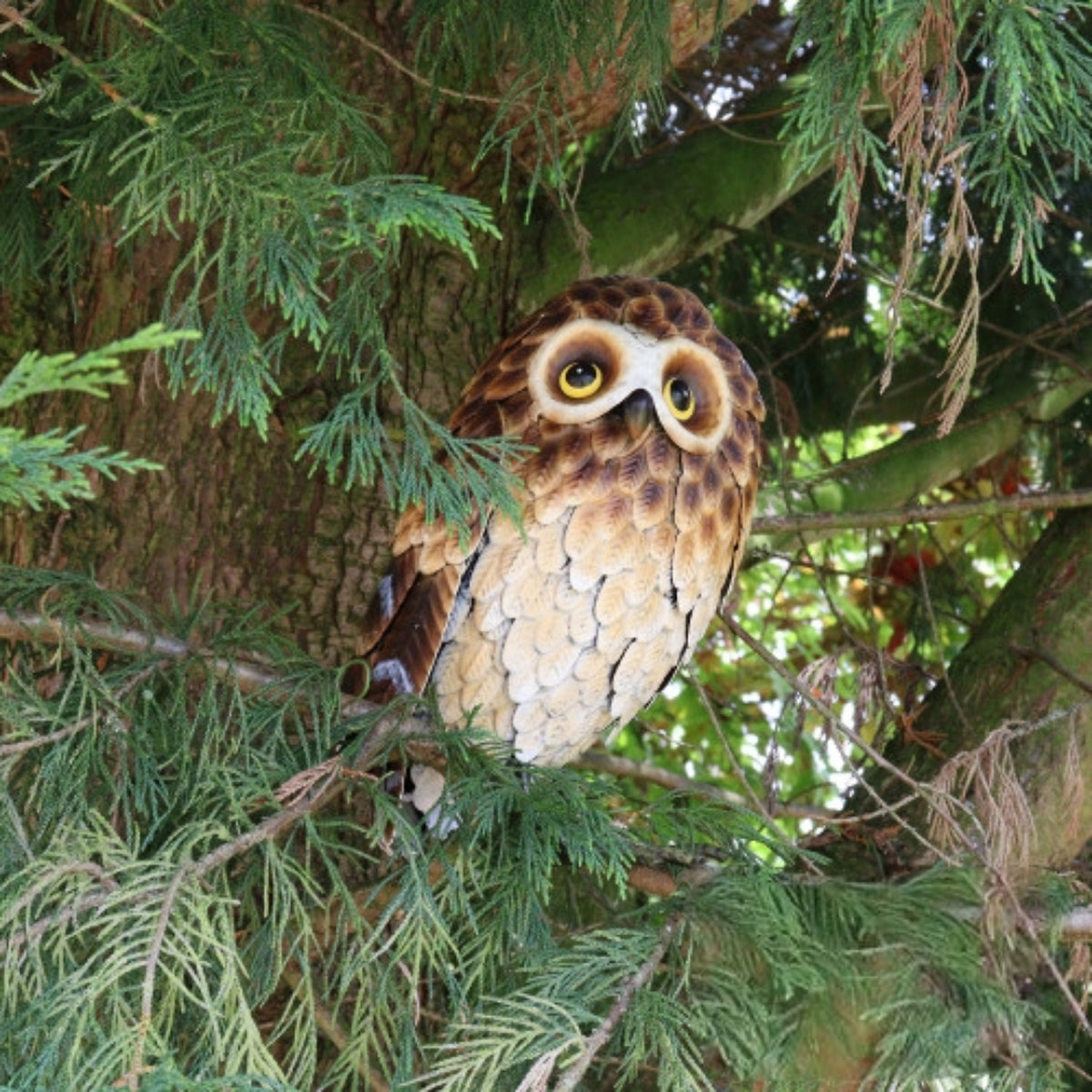 Tesco JPG version for Standing Metal Brown Owl - 28cm x 20cm x 13cm