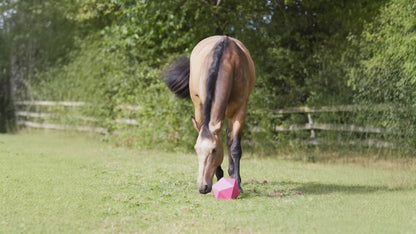 Boule de nourriture moulée monobloc Perry Equestrian Equi-Feeder pour friandises contre l'ennui pour chevaux