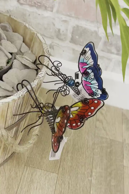 Glass Wing Spring-tail Butterfly Pot Hanger - Blue, Pink, Purple & Yellow