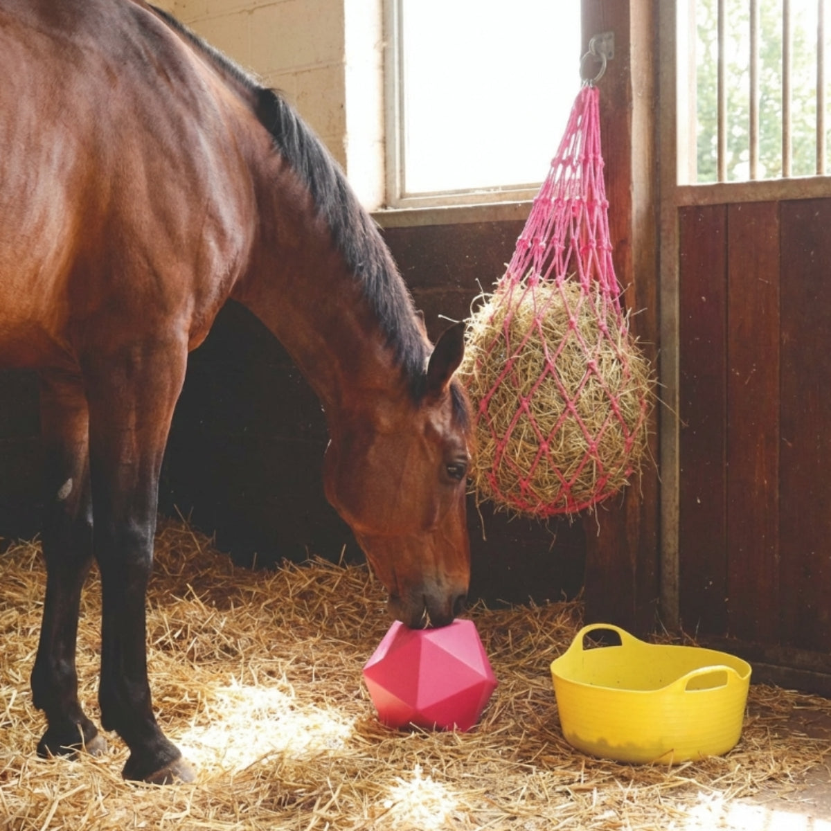 Marketplace JPG companion for Perry Equestrian Flexi Fill Shallow Tubs/Trugs 15 Litre Capacity