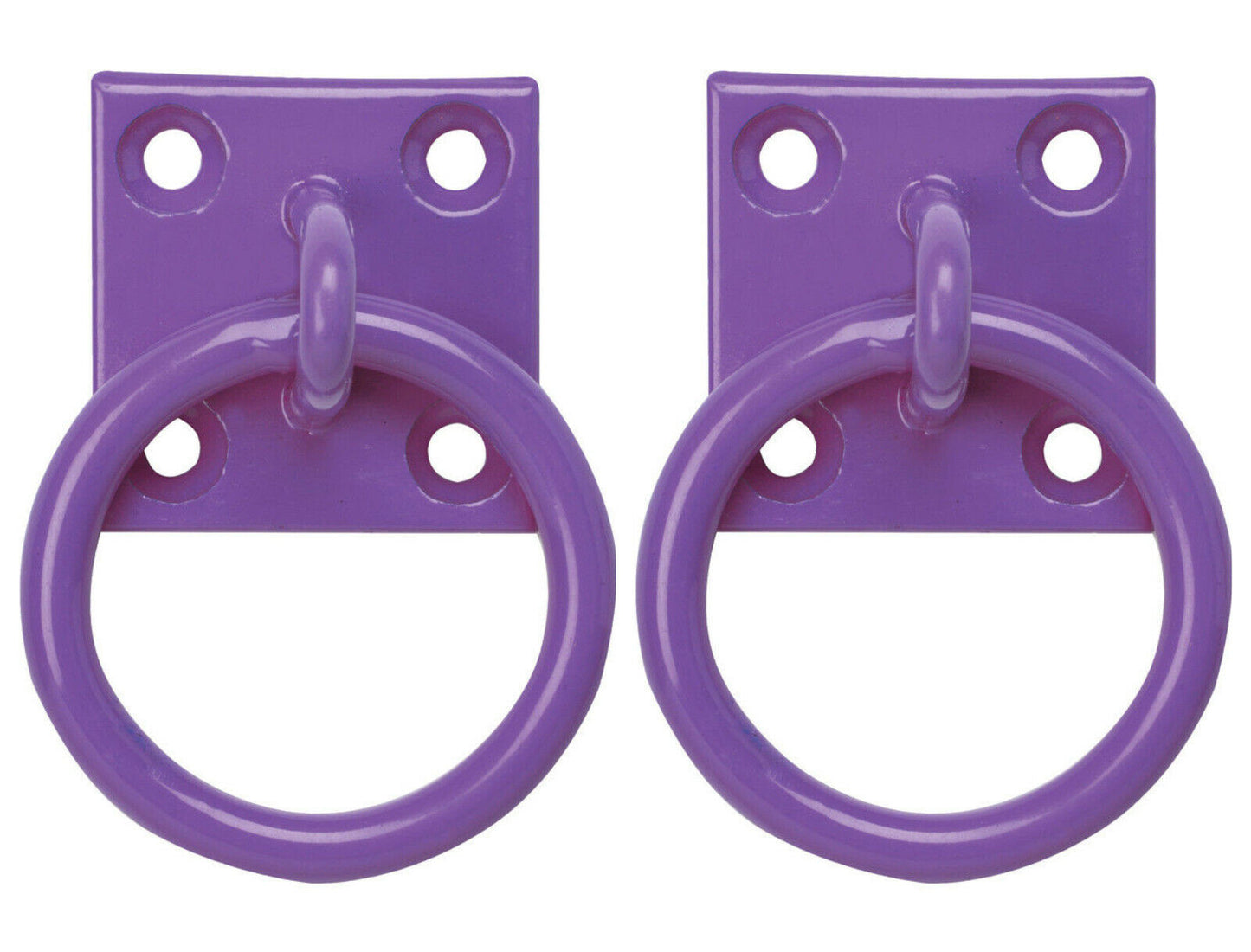 Perry Equestrian 2 Pack Tie Ring on 50mm Plate Stable Tie Up Ring Horse Pony