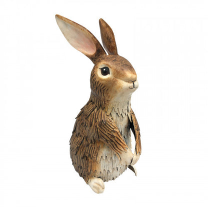 Metal Inquisitive Brown Rabbit