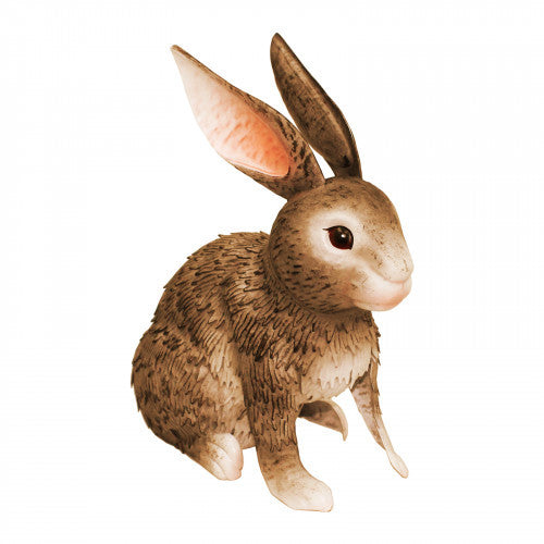 rabbit.jpg